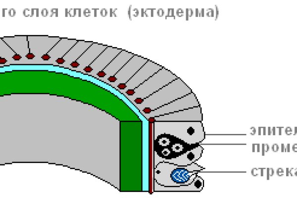 Ссылка омг сайта