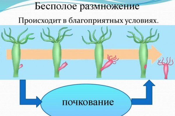 Адрес омг сайта