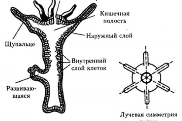 Омг рулетка